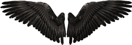 488acb73d91c44b73486eff79c2caa26