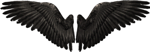 488acb73d91c44b73486eff79c2caa26